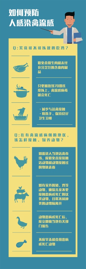 全球连线 | H5N8型禽流感传人 还能不能快乐吃鸡？