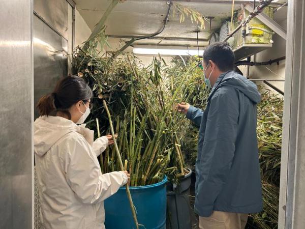 旅居美国的大熊猫“丫丫”将回国,身体状况如何? 旅居美国的大熊猫“丫丫”将回国,身体状况如何?