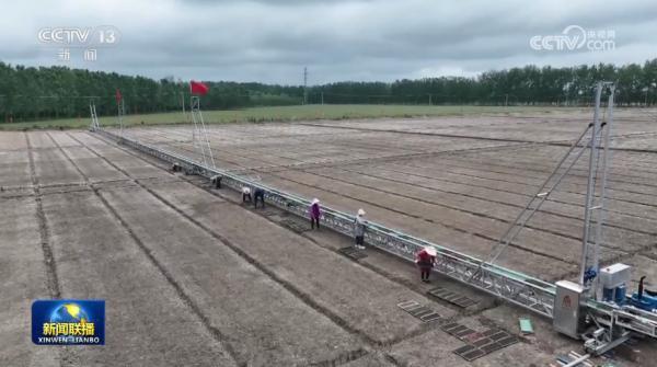 全国春播粮食已过八成