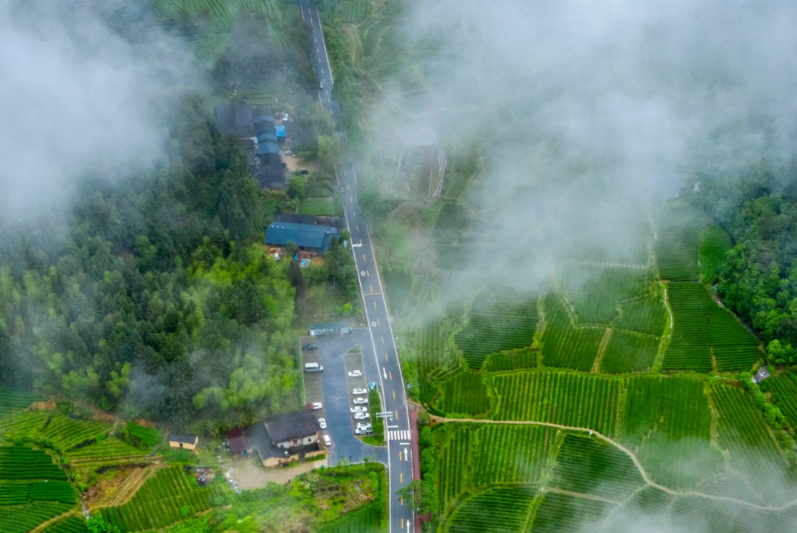 国家公园1号风景道寻茶路线 图源:大武夷文旅.png 国家公园1号风景道寻茶路线 图源:大武夷文旅.png