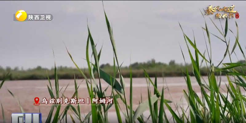 正在上传... 1742b0be3ded38dc6ecfa96255914eab.png