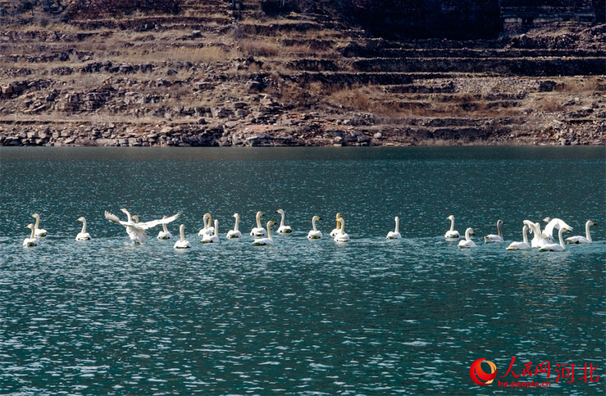 河北武安：太行叠素千峰秀 一川雪色半湖春