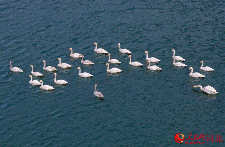 河北武安：太行叠素千峰秀 一川雪色半湖春
