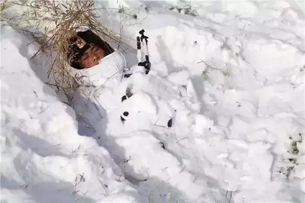 地为床天为被,军人的“睡功”你服不服?