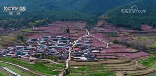 春天的中国,美得不可方物!