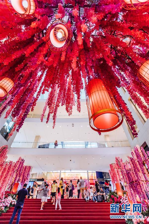 （国际·一周看天下）花海迎春