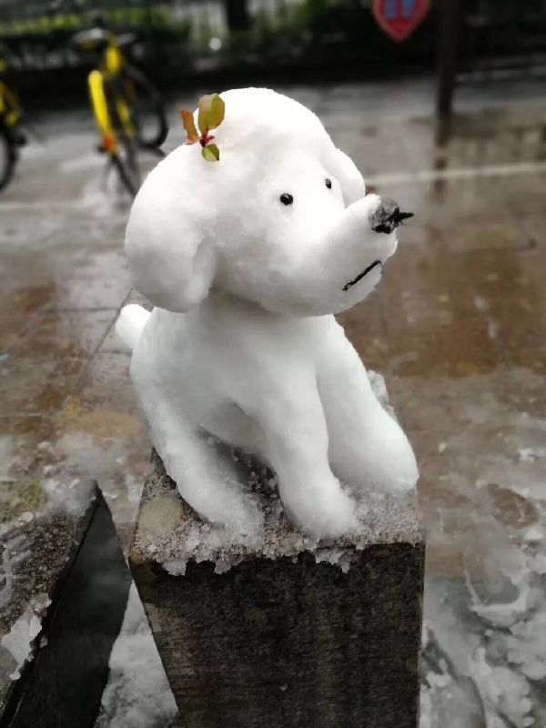 一场雪激发了多少人的才华草根艺术家堆出了个动物园