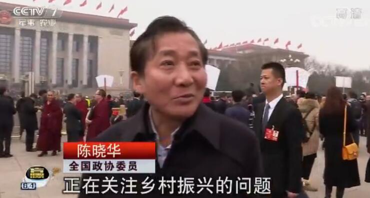 全国政协委员 陈晓华