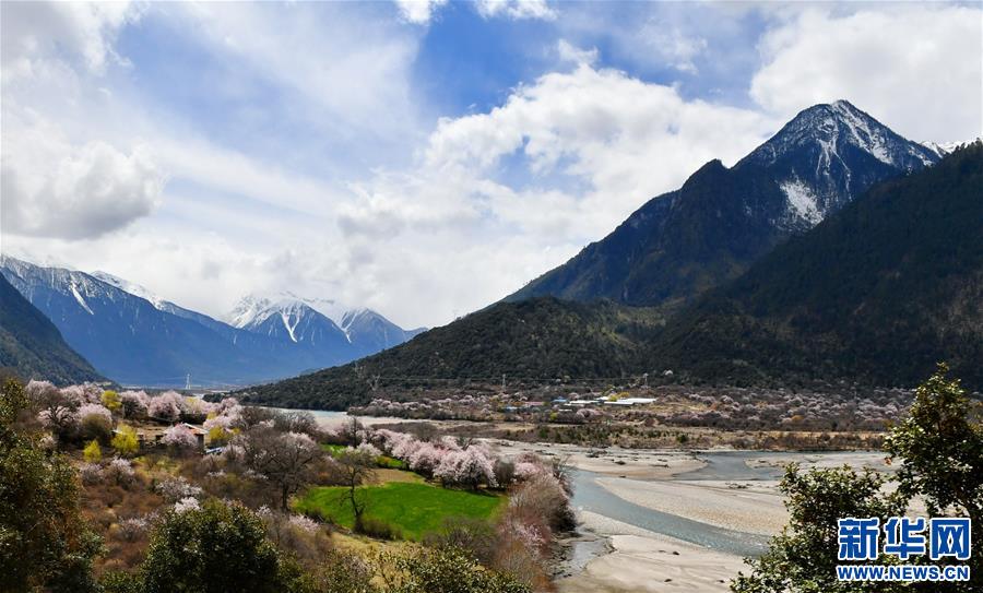 (美丽中国)(7)波密桃花香