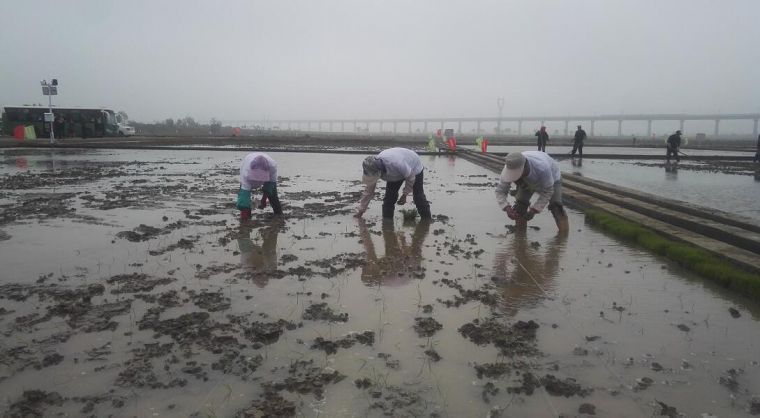 9b625b0b4770b7994966423d434d612b