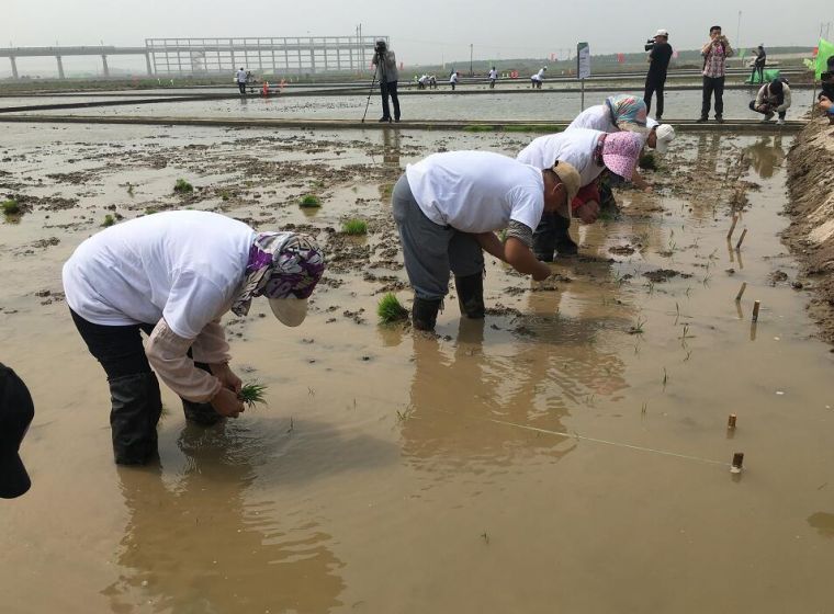 bac9687141603c697bb68b8d4eaa203f