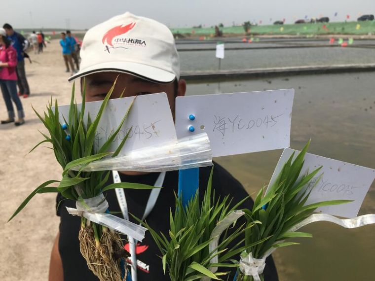 ec89bb0093c55d22b8620cfac0ef8962