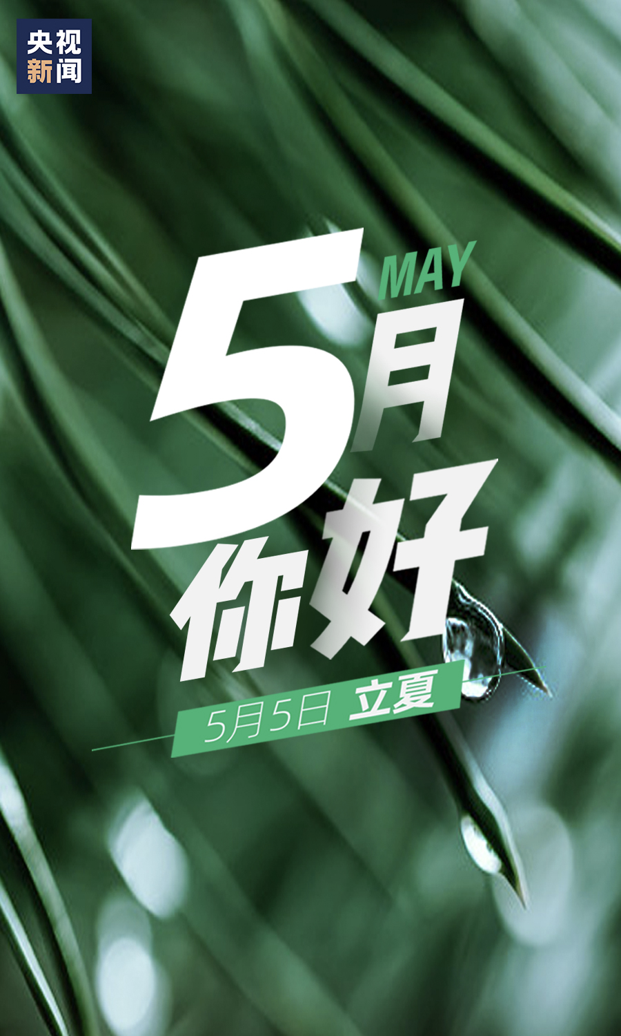 5月,你好!