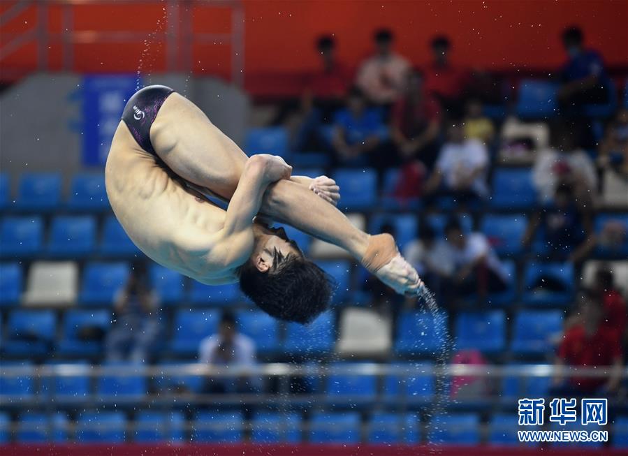 中国跳水队男运动员图片