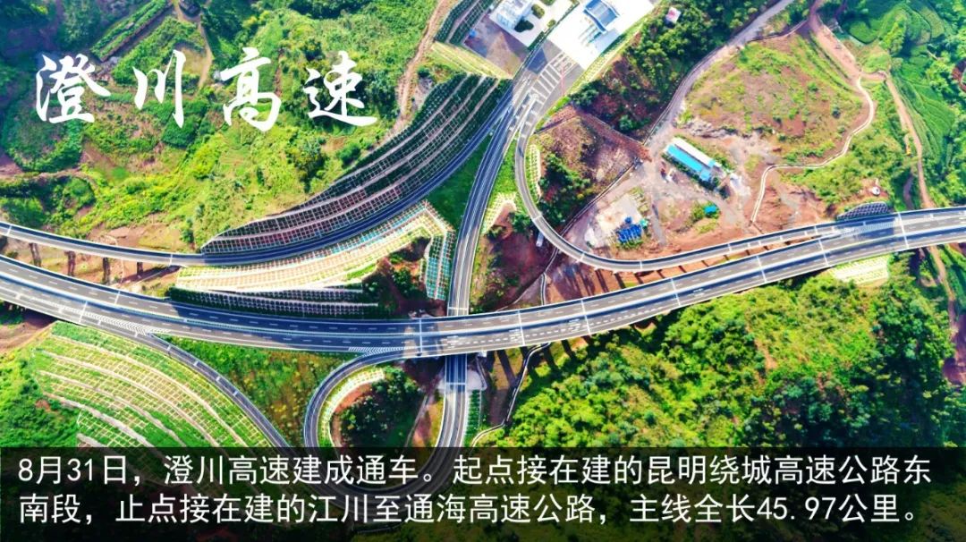 逆风破浪的2020丨育新机开新局
