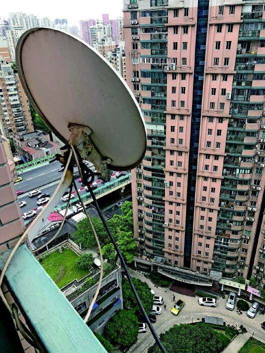卫星锅随意安装时有坠落到底该由谁来背锅有关人士呼吁多部门协作专项