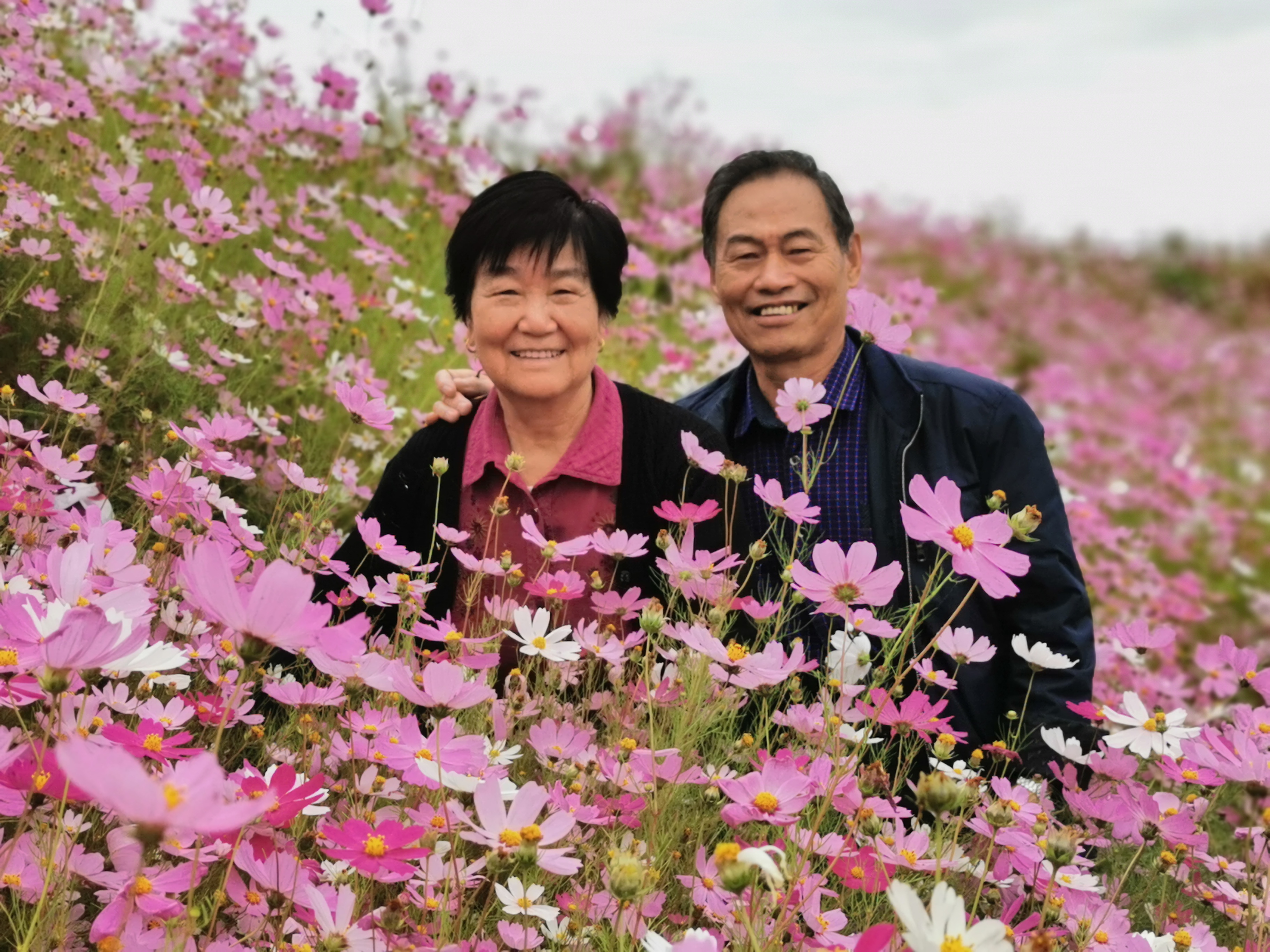 最美健康家庭遲到的結婚證