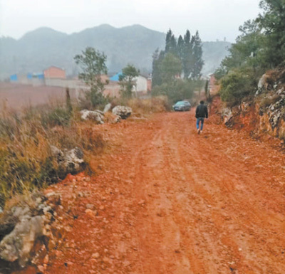 盼望进村道路尽快硬化(身边事)