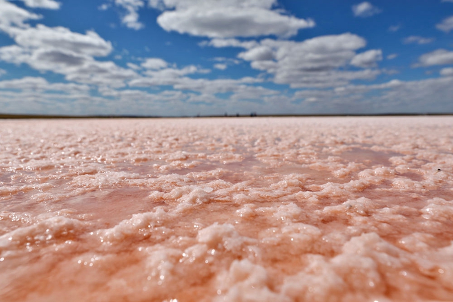 镜观世界丨美丽的中亚