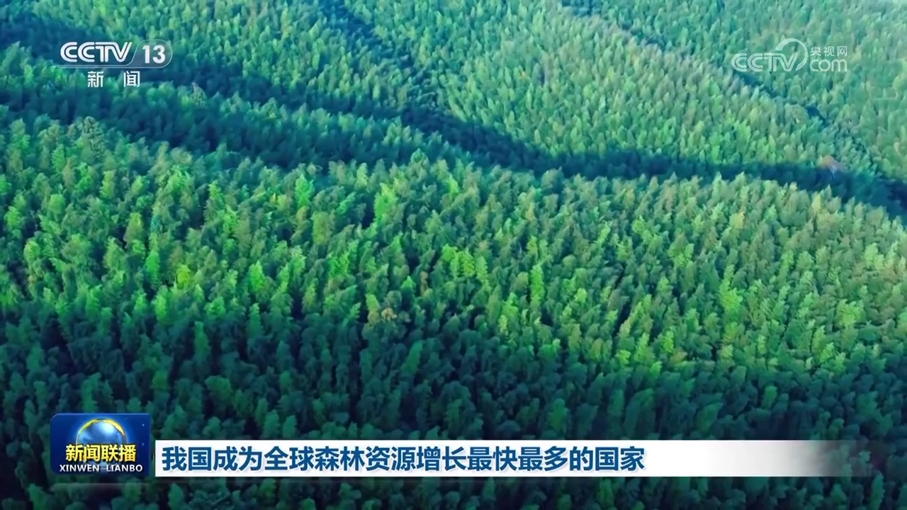 65亿亩,森林覆盖率由21.63%提高到24.02%,森林蓄积量由151.37亿立方米