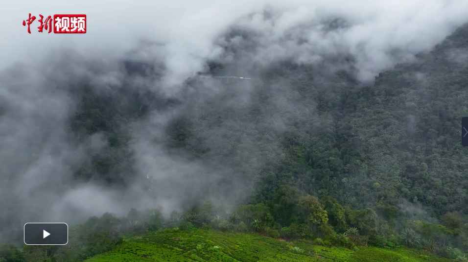 航拍春日墨脱感受莲花秘境之美